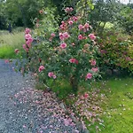 St Moling's Well House,off Grid,and Gardens St Mullins