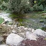 St Moling's Well House,off Grid,and Gardens * St Mullins