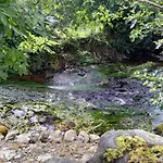 St Moling's Well House,off Grid,and Gardens