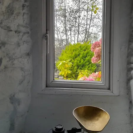 St Moling's Well House,off Grid,and Gardens St Mullins