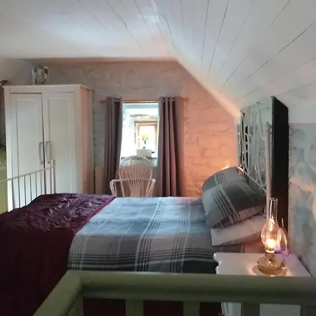 St Moling's Well House,off Grid,and Gardens Feriehus