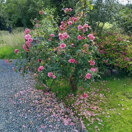 St Moling's Well House,off Grid,and Gardens St Mullins