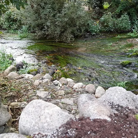 St Molings Well House And Gardens * St Mullins