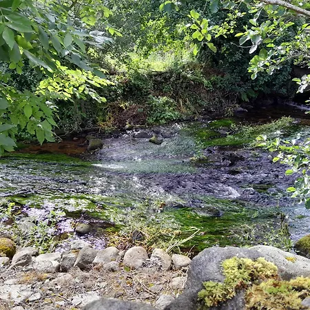 St Moling's Well House,off Grid,and Gardens