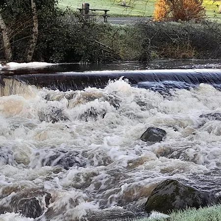 St Molings Well House And Gardens