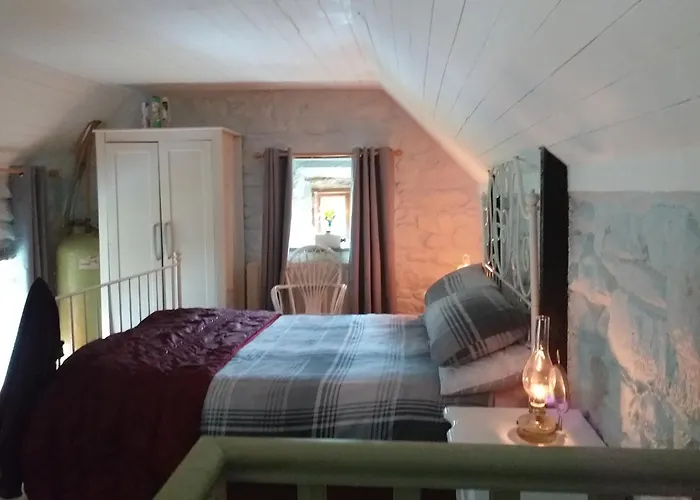 St Moling's Well House,off Grid,and Gardens Dom wakacyjny