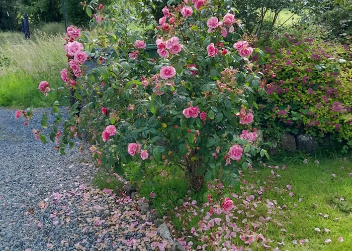 St Molings Well House And Gardens St Mullins