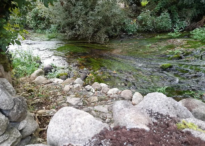 St Molings Well House And Gardens * St Mullins