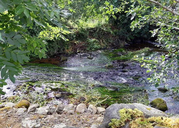 St Moling's Well House,off Grid,and Gardens